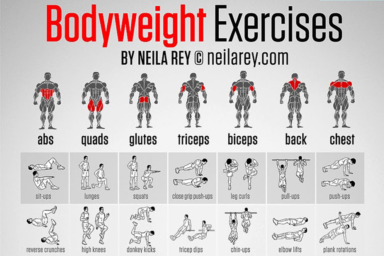 body percentage body percentage